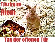 Tag der offenen Tür im Tierheim Riem am 15.10.2017 (Sonntag) (©Foto: Marikka-Laila Maisel)